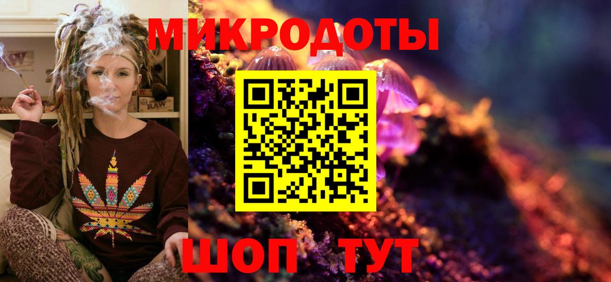 Псилоцибиновые грибы Psilocybine cubensis Лабытнанги